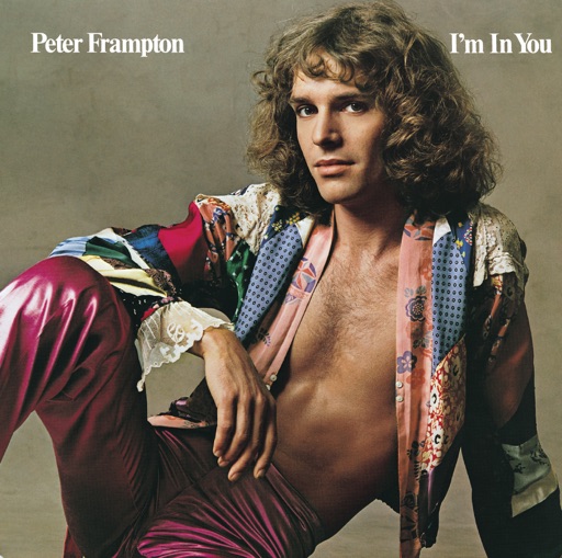 Art for I'm In You by Peter Frampton