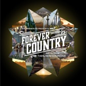 Artists Of Then, Now & Forever - Forever Country