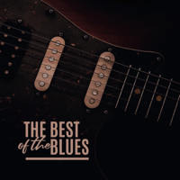 The Dennis Elder Band - The Best of the Blues artwork