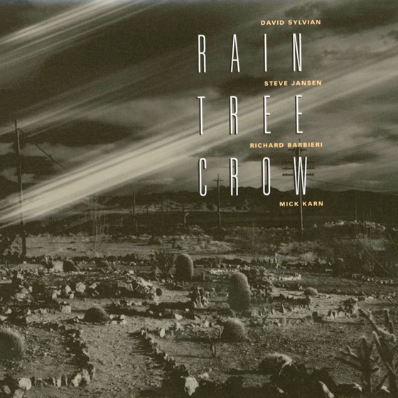 Cover artwork for Rain Tree Crow
