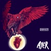 Ayer - Single