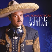Pepe Aguilar - Por Una Mujer Bonita