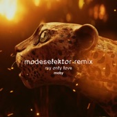 My Only Love (Modeselektor Remix) artwork