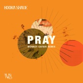 Pray (Monkey Safari Remix) artwork