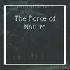 The Force of Nature - Relaxing Instrumental and Beautiful Celtic Music album lyrics, reviews, download