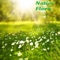 Agrimony - Brass Flask lyrics