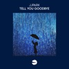 Tell You Goodbye - Single
