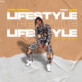 Lifestyle (feat. Hero) artwork