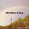 Oh What a Day (feat. Andy M) - DJ Kenneth A lyrics