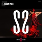 El Flamenco (Radio Edit) artwork