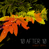 10After10 - Water Blinks artwork