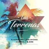 Las Terrenas (feat. El Boke) artwork