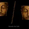 Tibetan Singing Bowl for Meditation album lyrics, reviews, download
