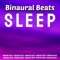 Binaural Beats REM Sleep - Binaural Beats Sleep lyrics