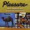 Bouncy Lady - Pleasure lyrics