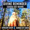 Divine Reminder (Sadaa Sat Naam) - Single album lyrics, reviews, download