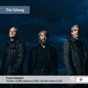 Trio Talweg - Trio No. 1 in B-Flat Major, D. 898: III. Scherzo. Allegro