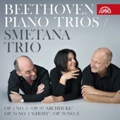 Beethoven: Piano Trios artwork