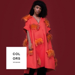 Bittersweet: A COLORS SHOW - Single