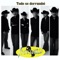 Todo Se Derrumbó - Indomable de Chihuahua lyrics