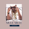Mule Mule (feat. Rich Mavoko) - Single