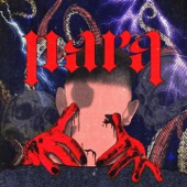 Para artwork