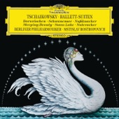 The Nutcracker Suite, Op. 71a: III. Waltz Of The Flowers artwork