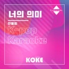 코케 - 너의 의미 : Originally Performed By 산울림 (Karaoke Version)