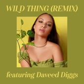 Wild Thing (feat. Daveed Diggs) [Remix] artwork