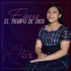 Espera el Tiempo de Dios - Single