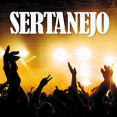 Sertanejo - Various Artists