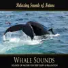 Relaxing Sounds of Nature - Whale Sounds album lyrics, reviews, download