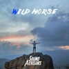 Wild Horse (Radio Edit) - Single