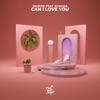 Can I Love You (feat. Roxana) - Single