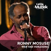 Web Van Verleiding (Uit Liefde Voor Muziek) artwork