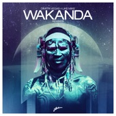 Wakanda (Warriors Remix) artwork