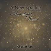 A New Sparkle Above The Moonlight Waves artwork