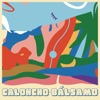 Optimista by Caloncho iTunes Track 2