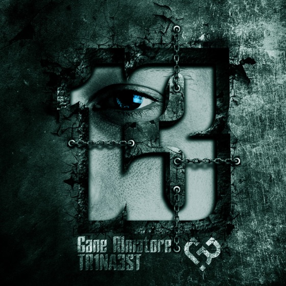 Cover artwork for Cirkus