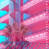 Pools and Palms - EP