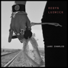 Lake Charles (feat. Shannon McNally) - Robyn Ludwick