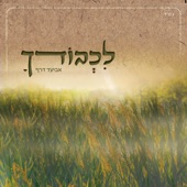 ידיד נפש artwork