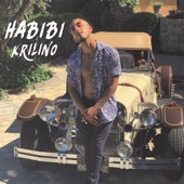 Habibi artwork