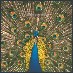 Expecting to Fly - The Bluetones