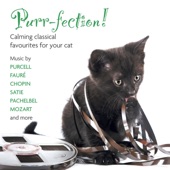 Purr-fection! Calming Classical Favourites For Your Cat artwork