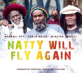 Natty Will Fly Again artwork