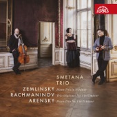 Zemlinsky, Rachmaninov, Arensky: Piano Trios artwork