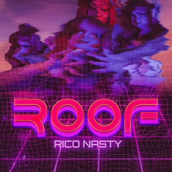 Cover artwork for Roof