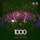 Neelix-1000 Sterne (Talla 2XLC Extended Trance Rework)