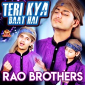 Teri Kya Baat Hai artwork